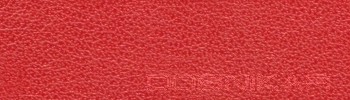izdelava pasov Dobnikar, elegantni moški usnjeni pasovi, elegantni ženski usnjeni pasovi, usnjen pas, jeans pas, hlače, usnje S02254.jpg