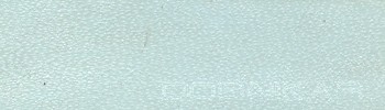 izdelava pasov Dobnikar, elegantni moški usnjeni pasovi, elegantni ženski usnjeni pasovi, usnjen pas, jeans pas, hlače, usnje S02273.jpg