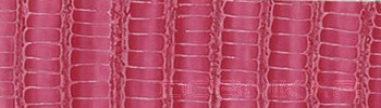 izdelava pasov Dobnikar, elegantni moški usnjeni pasovi, elegantni ženski usnjeni pasovi, usnjen pas, jeans pas, hlače, usnje S11277.jpg